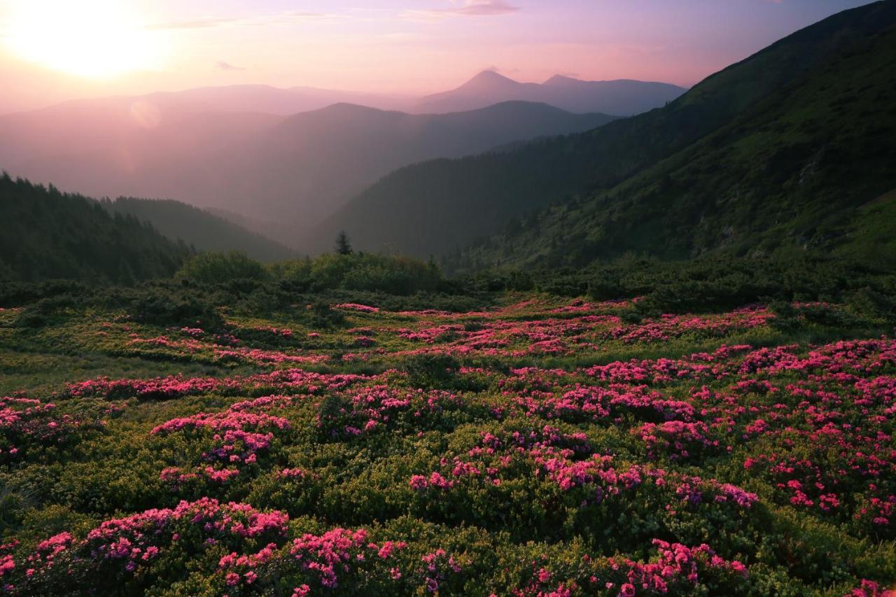 Huckleberry Ridge Villa พิเจนฟอร์จ ภายนอก รูปภาพ